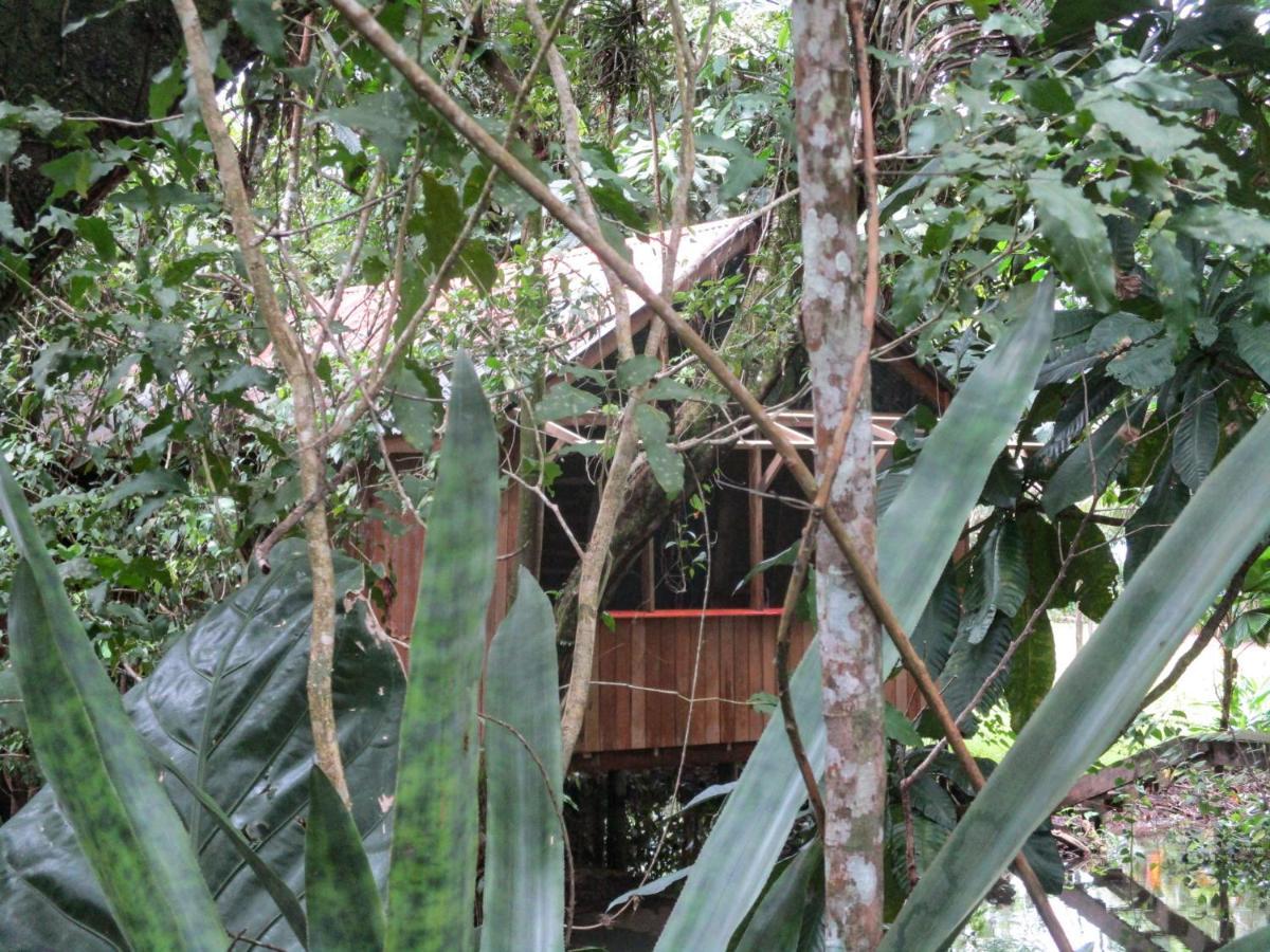 Hotel Kangaroo Y Restaurante Rio Dulce Exterior photo